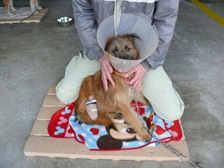 20120126234644e04[1]