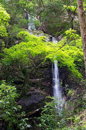 機織り渕　2012.5.7-2