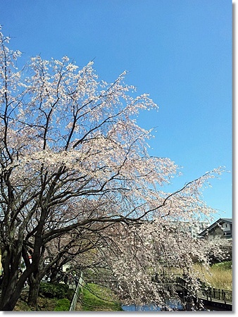 20120407_113954