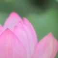 IMG_4682