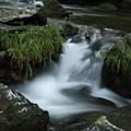 Photos: 7F1A7459