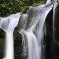 Photos: 7F1A7497