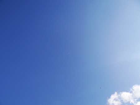 DSC03201_R