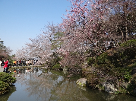 DSC04214_R