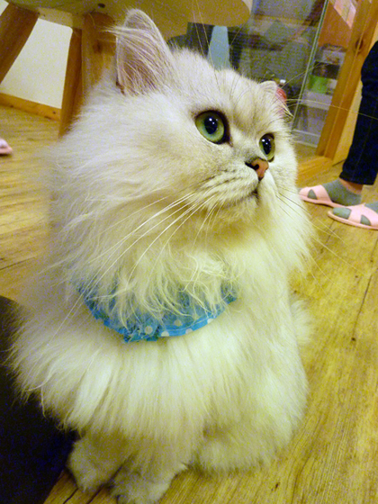 2011103010