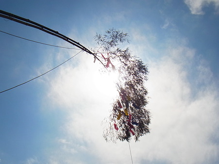 R0015135