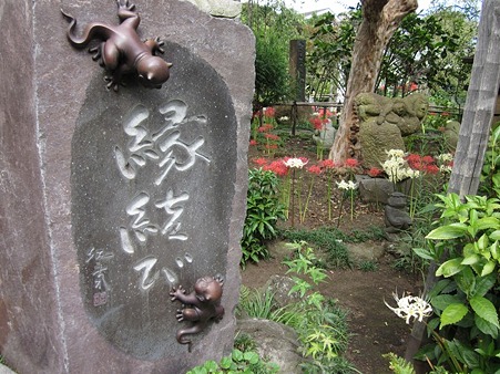 ヤモリ