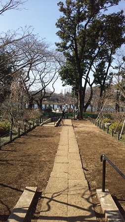 お墓から公園を望む
