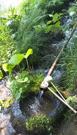 癒し水