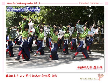 早稲田大学 踊り侍_17 - よさこい祭りin光が丘公園2011