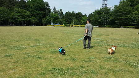 20150510_133203