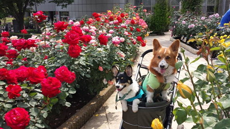 20150510_141914