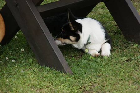 DSC05008