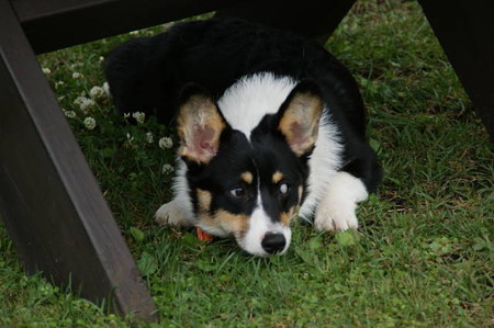 DSC05009
