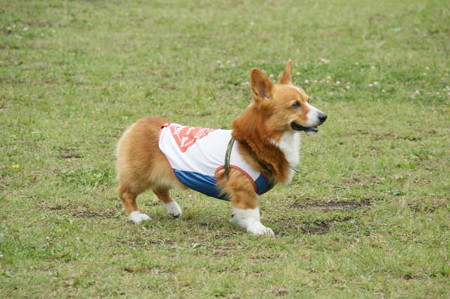 DSC05015