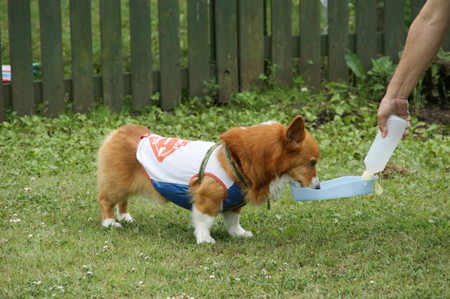 DSC05016