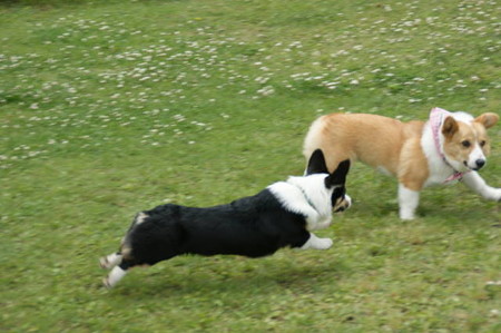 DSC05025