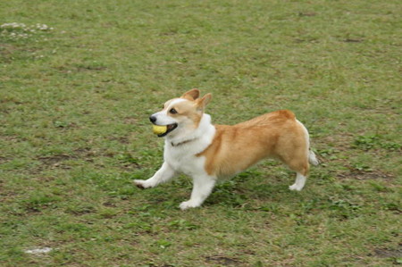 DSC05053