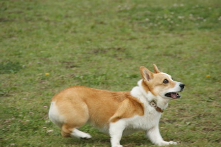 DSC05056