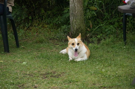 DSC05068