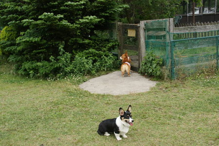 DSC05070