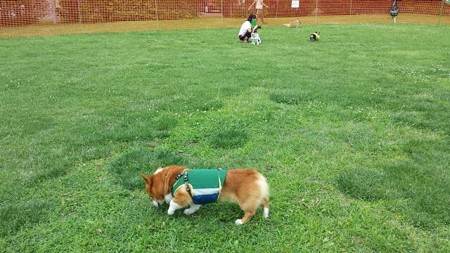 20150621_102733