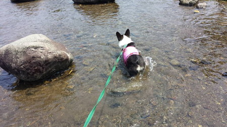 20150712_104029