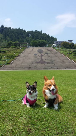 20150712_111904