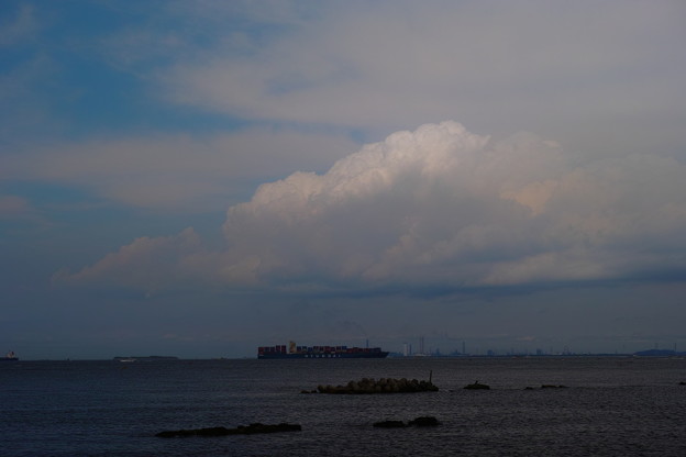 _P3M0769