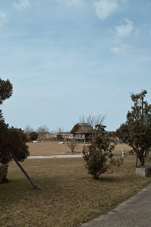 Yayoi_Park03042012dp2-10