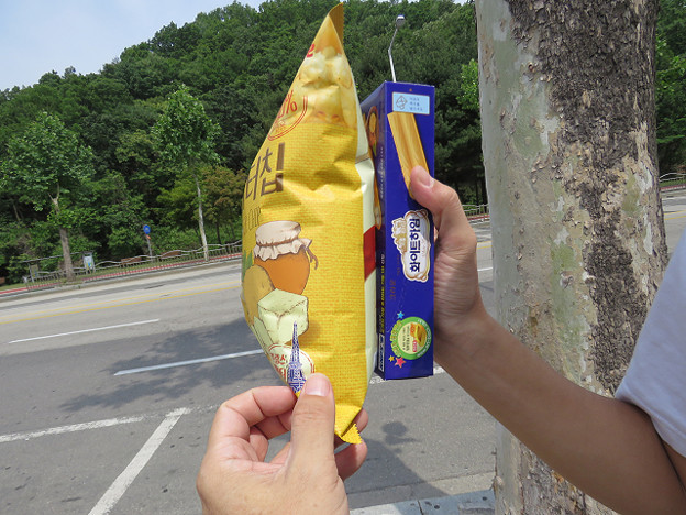 resize3593 写真: resize3593