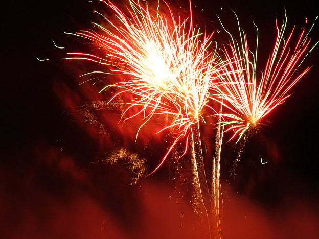 resize4019 写真: resize4019