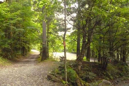 20150630_065Sampo