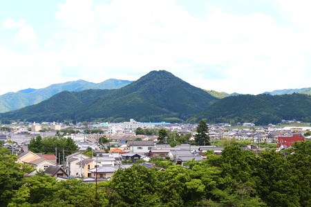 篠山城