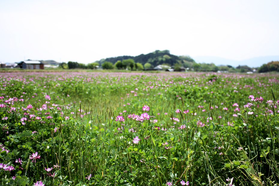 飛鳥村 奈良県 サイクリング