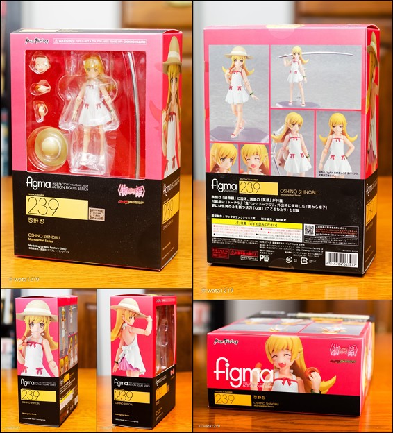 figma239忍野忍箱