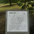 P1060569
(800x534) 写真: P1060569 (800x534)