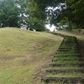 P1060573
(800x534) 写真: P1060573 (800x534)