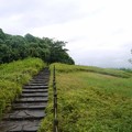 P1060604
(800x534) 写真: P1060604 (800x534)