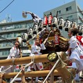 Photos: 灘のだんじり祭り
