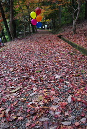 IMGP0447_1120