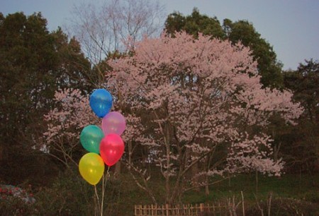 IMGP0878_0331