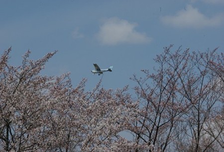 IMGP0029_0407