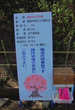 IMGP0299_0408a