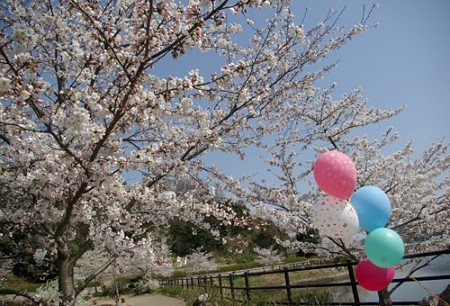 IMGP0403_0408a