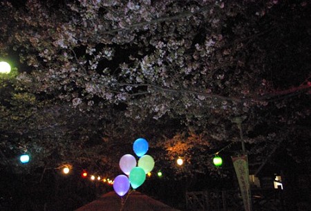IMGP2197_0412
