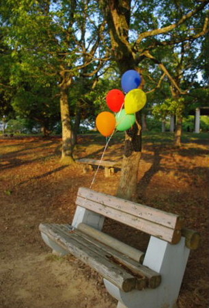 IMGP6965_0610
