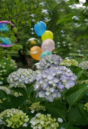 IMGP0352_0617