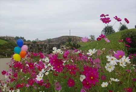 IMGP0166_1004