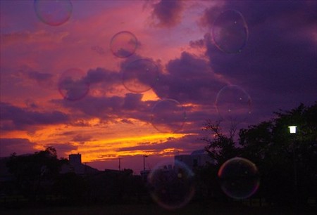 IMGP0465_1004